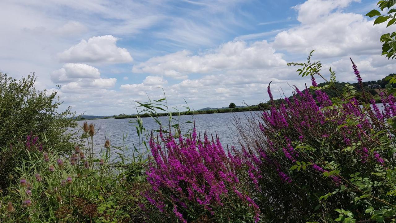 Belle Visnonia Meuble De Caractere Sud Morbihan Béganne Exteriör bild