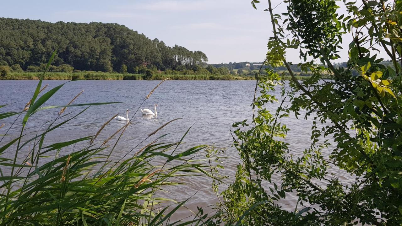 Belle Visnonia Meuble De Caractere Sud Morbihan Béganne Exteriör bild